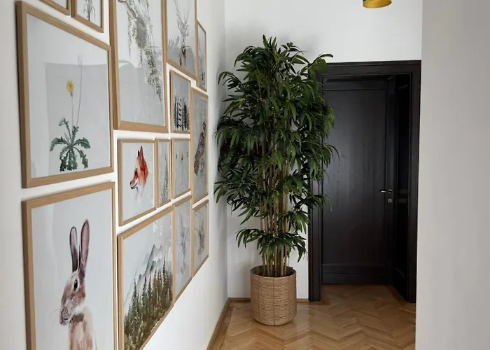 Nature-Inspired Stay in Piata Sfatului Brasov